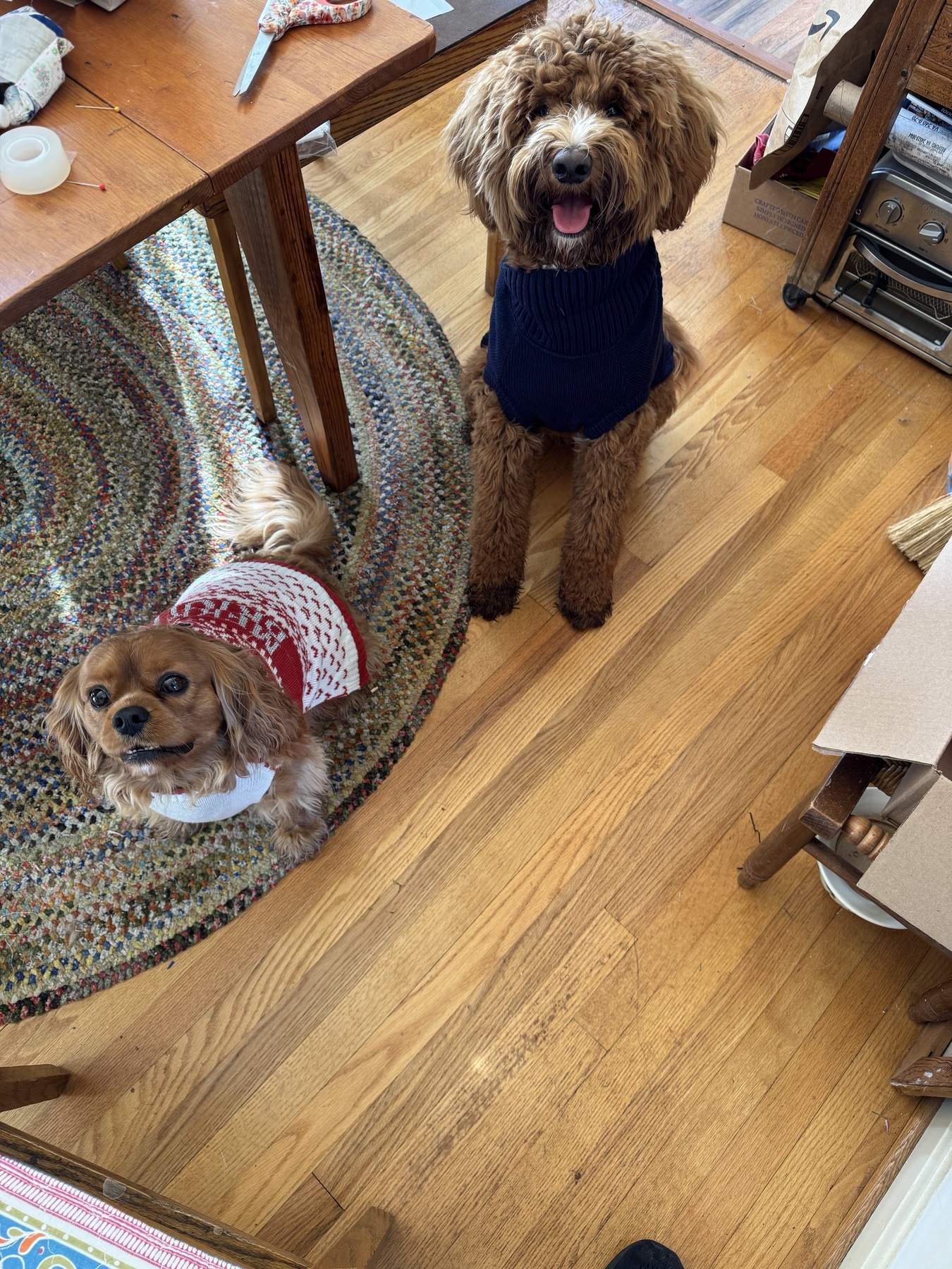 Bobo and Churro from Little Twin Adventures