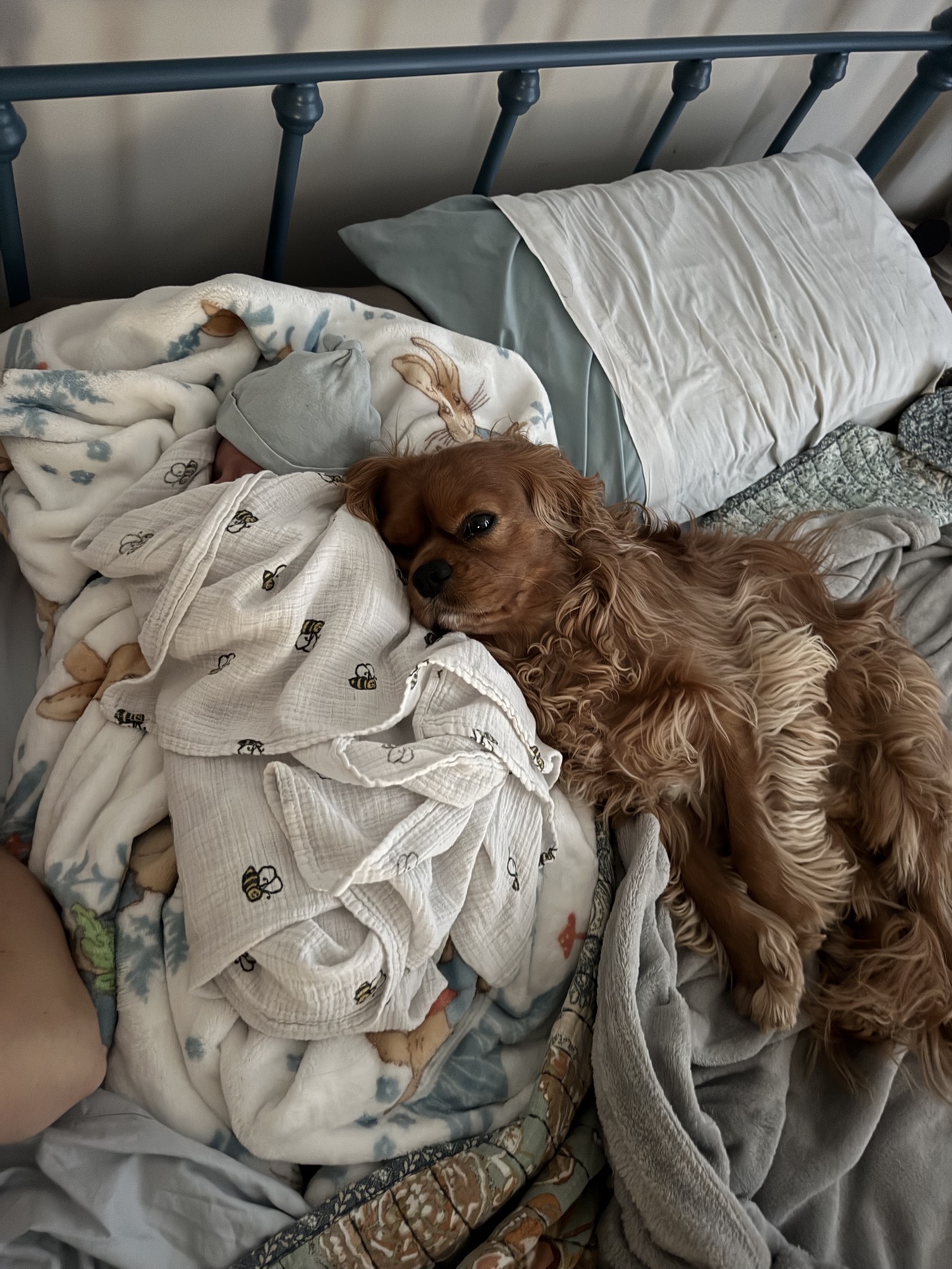 Bobo and Churro from Little Twin Adventures, photo 5